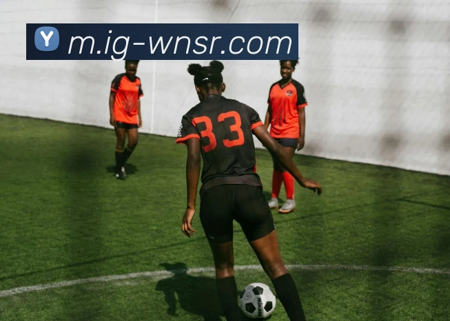 威尼斯人线上娱乐平台生态图